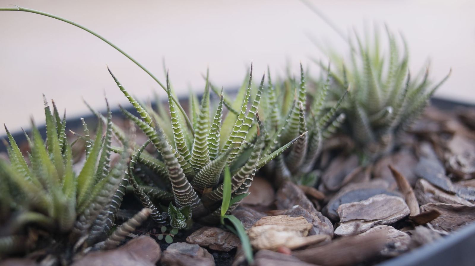 Sustainable Landscape Principles